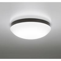 OW269014NR LEDバスルームライト 浴室灯 FCL30W相当 R15高演色 クラス2 昼白色 非調光 オーデリック 照明器具 防雨・防湿型 天井付・壁付け兼用 軒下用 | タカラShop Yahoo!店