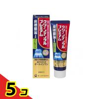 クリーンデンタルプレミアム クールタイプ 100g  5個セット | 通販できるみんなのお薬