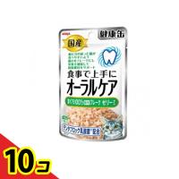 アイシア 国産 健康缶パウチ オーラルケア まぐろ細かめフレーク ゼリータイプ 40g  10個セット | 通販できるみんなのお薬