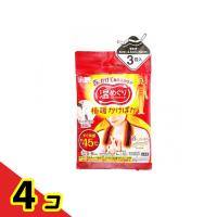 レック 温めぐり 極暖かけぽか 首にかける使い捨てカイロ 3個入  4個セット | 通販できるみんなのお薬