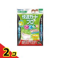 快適ガードプロ プリーツタイプ こども用(園児・低学年サイズ) 5枚入  2個セット | 通販できるみんなのお薬