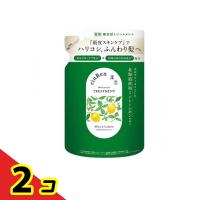 凜恋(リンレン) R ヘアトリートメント ミント&amp;レモン 300mL (詰め替え用)  2個セット | 通販できるみんなのお薬