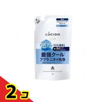 LUCIDO(ルシード) 薬用スカルプデオシャンプー EXクールタイプ 380mL (詰め替え用)  2個セット | 通販できるみんなのお薬