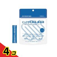 井藤漢方製薬 どっさり乳酸菌と酪酸菌 2g× 24袋入 (24日分)  4個セット | 通販できるみんなのお薬(みんなのお薬)