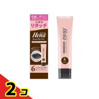 テンスター ヘナ リタッチカラートリートメント 6ダークブラウン 65g  2個セット | 通販できるみんなのお薬(みんなのお薬)