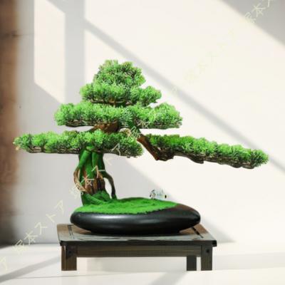 人工観葉植物 高さ3m 幅3m フェイクグリーン 室内外装飾 人工樹木 3mの商品一覧 通販 - Yahoo!ショッピング