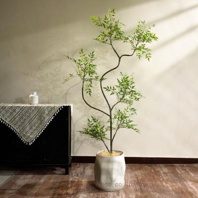 竹 盆栽のおすすめ人気商品一覧 通販 - Yahoo!ショッピング