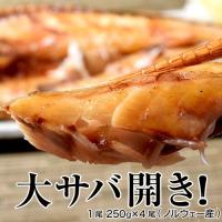 干物 訳あり さば 開き 大きすぎた 「大サバ開き」 4尾 約1kg 酒のつまみ 酒の肴 おかず サバ 鯖 特大サイズ 冷凍 同梱可能 