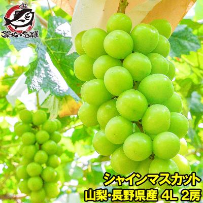 うに カニ まぐろなら築地の王様 - 産直ぶどう シャインマスカット 