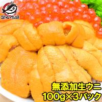 生ウニ 生うに 冷凍 無添加 天然 300g 100g×3パック(ウニ うに 雲丹) 単品おせち 海鮮おせち