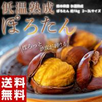 JA菊池 『低温熟成 ぽろたん』熊本県産 栗 2L〜3Lサイズ 約1kg ※冷蔵