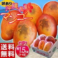 訳あり　沖縄マンゴー　大ボリュームの約1.5kg（3〜6玉） 沖縄県産 送料無料　常温又は冷蔵 