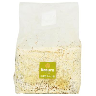 菌糸ブロックのおすすめ人気商品一覧 通販 - Yahoo!ショッピング