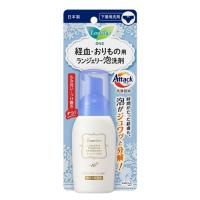 花王 ロリエ ランジェリー泡洗剤 80ml | ツクモYahoo!店