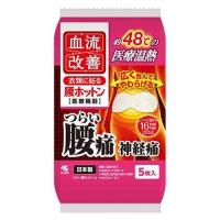 小林製薬 血流改善 腰ホットン ホットシート 5枚 | ツクモYahoo!店