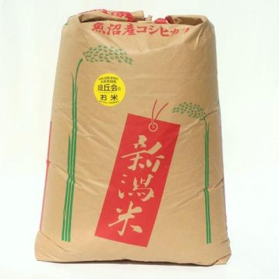 彩のかがやき 30kg（食品）のおすすめ人気商品一覧 通販 - Yahoo