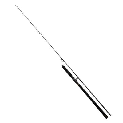 DAIWA（釣り） 釣り フラットフィッシュロッド｜ロッド、釣り竿｜釣り