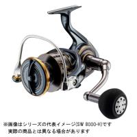 値下げ　ダイワ　カルディア 22CALDIA SW 6000D-H 737_1.jpg?20220209170042