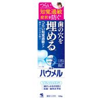 小林製薬 ハウメル (100g) 薬用ハミガキ 知覚過敏 口臭予防　医薬部外品 | ツルハドラッグ ヤフー店