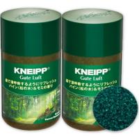 クナイプ グーテルフト バスソルト パイン 松の木 ＆ モミの香り 850g × 2個  KNEIPP | にっぽん津々浦々