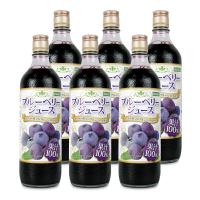 ジュース フルーツジュース ブルーベリー 野田ハニー ブルーベリー100%ジュース 720ml×6本 | にっぽん津々浦々