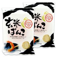 桜井食品 玄米ぱんこ 100g × 2袋 国産 米パン粉 | にっぽん津々浦々