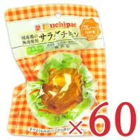 内野家 uchipac 国産鶏 サラダチキン カレー 100g × 60個 ケース販売 | にっぽん津々浦々