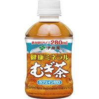 ato6019-1793  #健康ミネラルむぎ茶 280ml×24本 1ケ 伊藤園 9405 | ドクタープライム