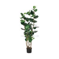 施設用備品　 人工観葉植物 インディアンアーモンド A-50900 メーカー不明 取寄品 JAN 4511255445660　介護福祉用具 | ドクタープライム