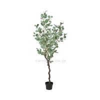 施設用備品　 人工観葉植物 ユーカリ A-50967 メーカー不明 取寄品 JAN 4511255486663　介護福祉用具 | ドクタープライム