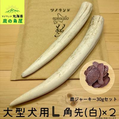 鹿の角のおすすめ人気商品一覧 通販 - Yahoo!ショッピング