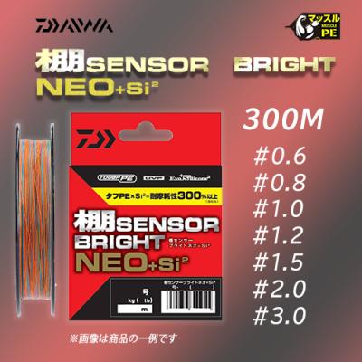 棚センサーブライト（釣り糸、ライン）｜釣り仕掛け、仕掛け用品