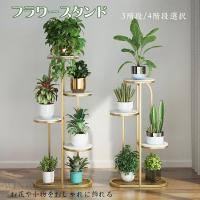 フラワースタンド 花台 3階 シューズラック スタンド 3階 ゴールド 観葉植物 室内 おしゃれ フラワー用 丸型 小物 置き 物置き 花台 観葉 Yl 66 ヒミツキチヤフー店 通販 Yahoo ショッピング