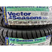2023年製 Vector 4Seasons Hybrid 185/65R15 88H オールシーズンタイヤ | タイヤ屋 ぱぴ