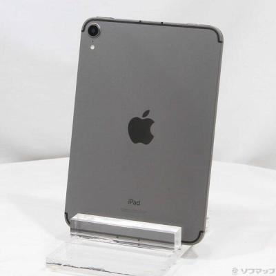 ipad 第8世代 本体（内蔵ストレージ容量：256GB）のおすすめ人気