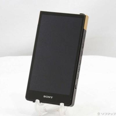 SONY CFexpressTypeB TOUGH128GBの中古品 オマケ付き SONY 【中古】NW-ZX100 SM 【128GB】【秋葉原】 – e☆イヤホン