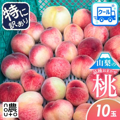 訳ありのおすすめ人気商品一覧 通販 - Yahoo!ショッピング