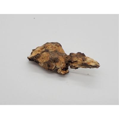 宇宙村 - イミラック・パラサイト（石鉄隕石）｜Yahoo!ショッピング