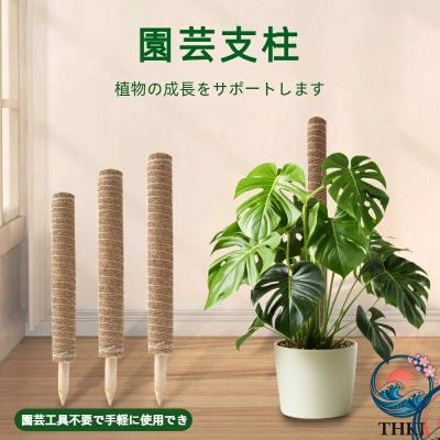 モンステラ ヘゴ支柱のおすすめ人気商品一覧 通販 - Yahoo!ショッピング