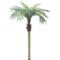 ヤシの木「フェニックスパームツリー」　人工観葉植物 全長210cm