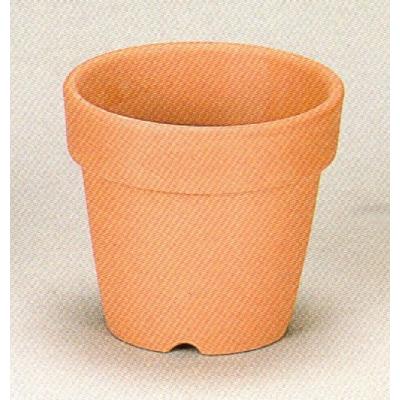 風蘭（植木鉢、プランター）｜園芸用品 | 花、ガーデニング のおすすめ