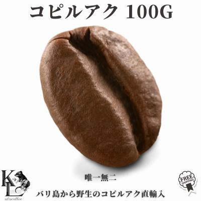 ジャコウネコ コーヒー バリのおすすめ人気商品一覧 通販 - Yahoo