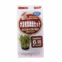 アラタ うさちゃん用 大麦若葉栽培セット 6回分 | ウルマックスジャパン