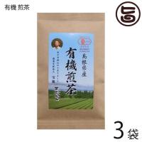 島根県産 有機煎茶 55g×3袋 茶三代一 有機JAS認定 島根県 有機緑茶 自家製肥料 カテキン | 旨いもんハンター