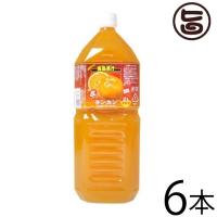 南島果汁 タンカン 2L(5倍濃縮)×6本 北琉興産 沖縄 土産 南国フルーツ 柑橘系 ドリンク ヘスペリジン(ビタミンP) | 旨いもんハンター