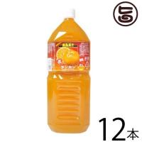 南島果汁 タンカン 2L(5倍濃縮)×12本 北琉興産 沖縄 土産 南国フルーツ 柑橘系 ドリンク ヘスペリジン(ビタミンP) | 旨いもんハンター