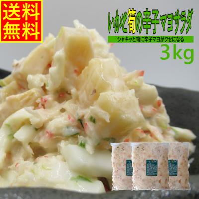 白子筍 京都のおすすめ人気商品一覧 通販 - Yahoo!ショッピング