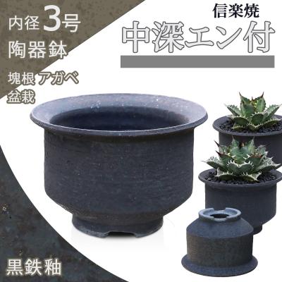 盆栽 鉢 13号（植木鉢）｜鉢、プランター｜園芸用品 | 花