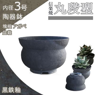 塊根植物鉢のおすすめ人気商品一覧 通販 - Yahoo!ショッピング