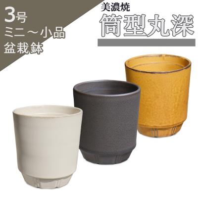 超ミニ盆栽の商品一覧 通販 - Yahoo!ショッピング